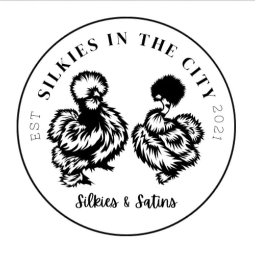 Silkies In The City